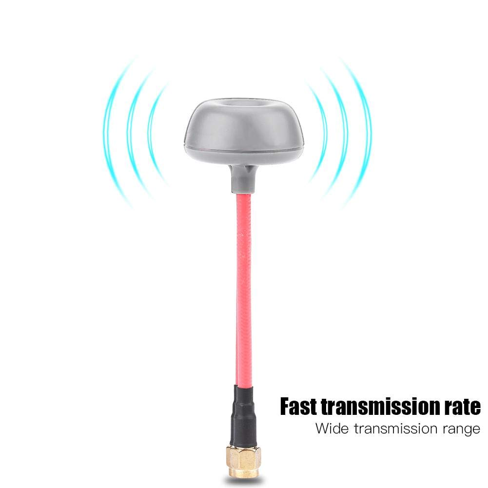 Antenne TX / RX, 2 Types 5.8G RHCP Antenne TX / RX en Forme de Champignon Accessoire pour Drone RC ( mâle RP-SMA)Accessoires pour modèles réduits d'avions