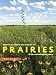 The Ecology and Management of Prairies in the Central United States (Bur Oak Book)