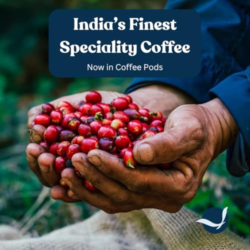 Image of Toffee Coffee Roasters | Variety Pack Coffee Pods - 20 Aluminium Coffee Capsules | Baba Budangiri & Mysore Nuggets | Nespresso Compatible |