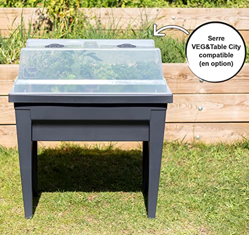 EDA Plastiques Urban Garden Container, Végétale City, 13923 BRT, CX4, 76 x 38,5 x 68 cm