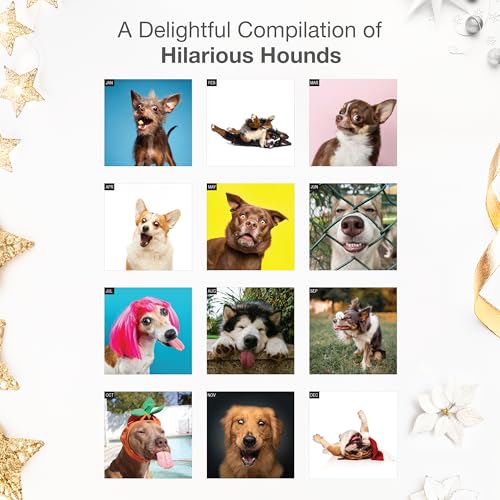 Image of RED EMBER Goofy Dogs 2026 Wall Calendar 12 Month | 12 inch x 24 inch Open | Thick & Sturdy Paper | Giftable | Kids Pooches Funny Puppy Dog Calendar 2026