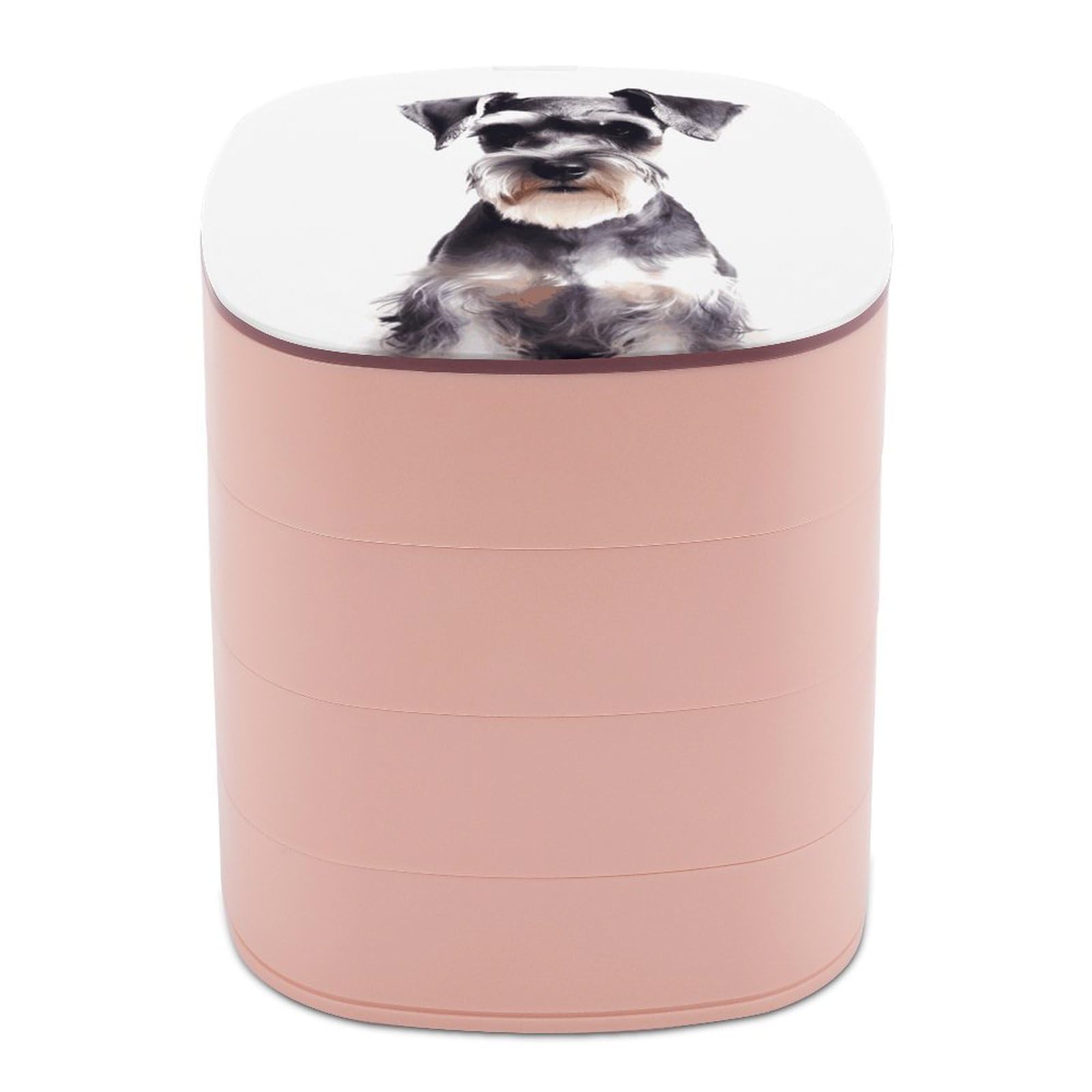 VstaDank Well Behaved Schnauzer Jewelry Box 360° Rotatable Jewelry Organizer 4 Layers Jewelry Case with Lid Fashion Portable Earring Holder for Bracelets Rings Bracelets Vanity