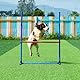 VEVOR Agility Set Hunde, 5-teiliges Set mit verstellbaren hohen Hürden, 6 Slalomstangen, Tunnel, Sprungring, Pausenbox, Pfeife, Faltbarer Schüssel, Hindernisparcours-Set mit Aufbewahrungstaschen