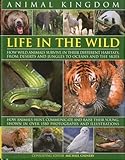Animal Kingdom: Life in the Wild
