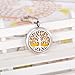 HooAMI Aromatherapy Essential Oil Diffuser Necklace - Tree of Life Round Pendant Locket