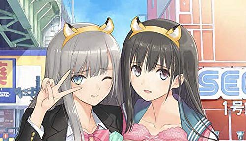 Amazon.co.jp: C96 T2 ART WORKS(Tony) B2タペストリー(Extra ver