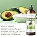 velona Avocado Oil 64 Fl Oz | 100% Pure and Natural Carrier Oil | Expeller-Pressed | Hair, Body and Skin Care | Use Today - Enjoy Results