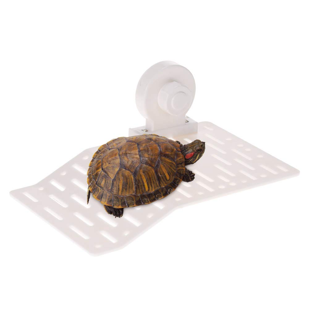 Buy Turtle Basking Dock,Eookall Aquarium Tank Turtle Basking Platform