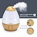 NEXGADGET Cool Mist Humidifier - Ultrasonic Room Humidifier with Two 360° Rotatable Mist Outlets, Adjustable Mist Control, 7 Color Lights Features