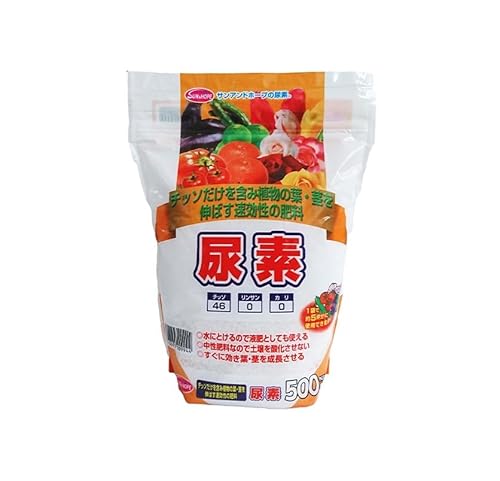 TAhz[v Af 500g f엿 | K[fjO `bNt X^hpbN