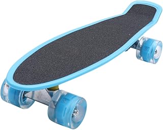 ibasenice 1 Peça De Skate Fosco Placa De Peixe Pequena Monopatin Para Niños Placa Deslizante Para Crianças Ao Ar Livre Longboard Completo Longboards Skate Ao Ar Livre Mini Longboard Cruiser