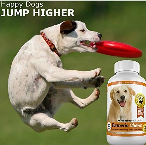 Amazing Combo Dog Turmeric and Probiotics for Dogs - Pure All-Natural Pet Antioxidant - Promotes Shiny Coat, Brain Health, Eliminates Diarrhea Gas and Joint Pain, 120 Tasty Chews x 2