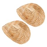 [GARIOUANS] 2個 ミニ西部風麦わら帽子 玩偶 ペット用クラフトアクセサリー かわいい夏向け通気性帽子 写真撮影やイベントに