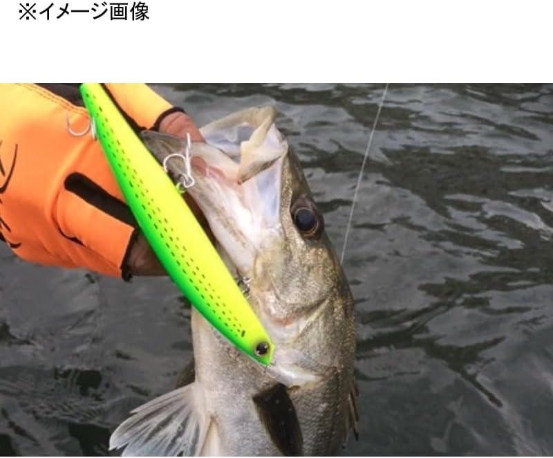 Daiwa Sea Bass and Blue Lure Set Upper 75S/97S/125S Various Types