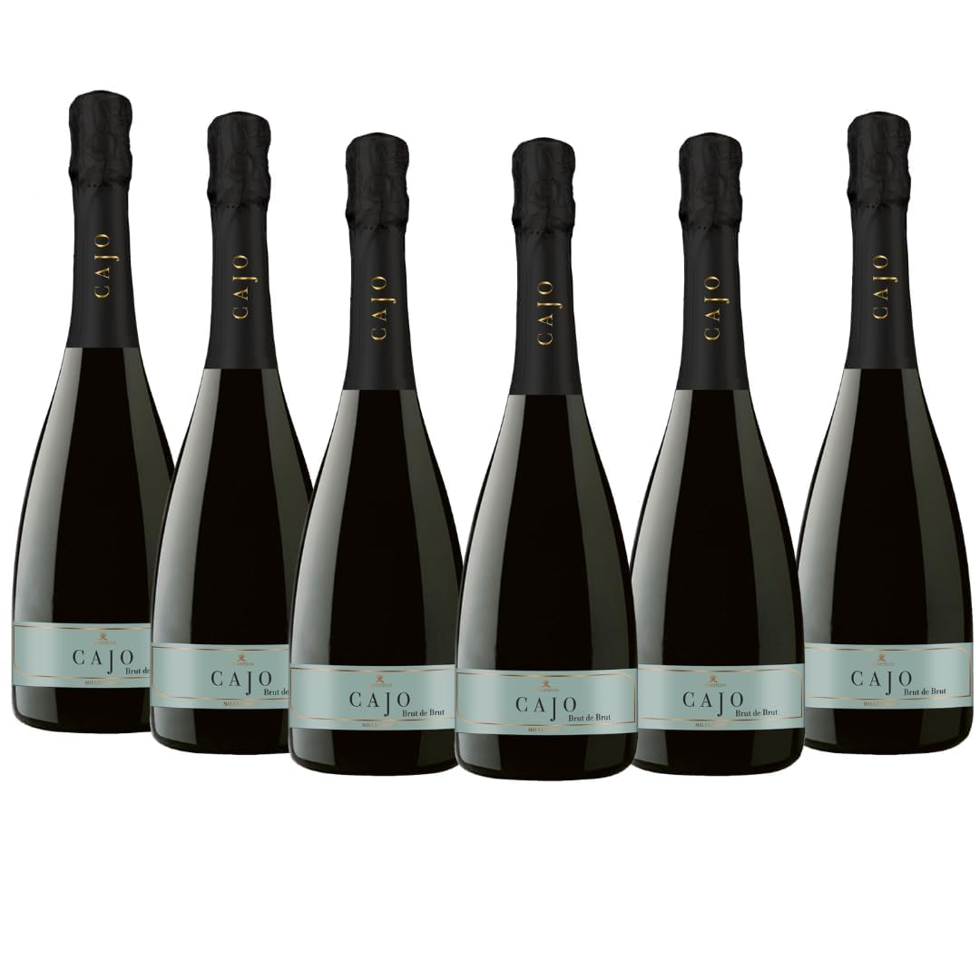 OFFERTA SPECIALE | Spumante Brut Millesimato Brut, da Uva Glera, Gusto Fresco con Note Fruttate, 6x750 ml
