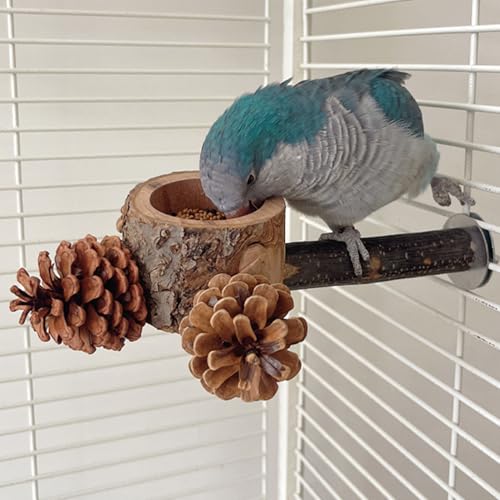 Perchoirs pour perruche accessoires cage jouet mangeoire animaux de compagnie - 3