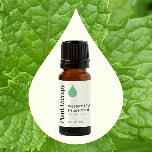 Aceite Esencial de Menta Peppermint 10 mL Puro miniatura 3