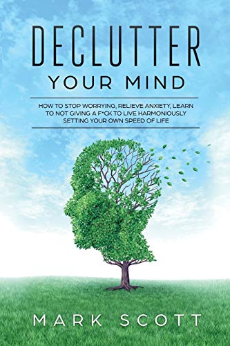 Declutter Your Mind view 2