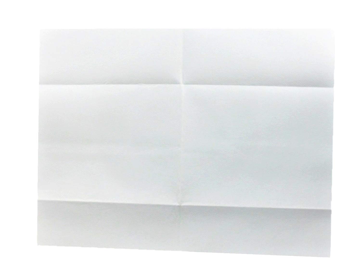 Brotex® Airlaid Wischtücher aus 90% Zellstoff, 30x38 cm, 600 Tücher | Hochvoluminöse Profi-Tücher, extrem saugstark, formstabil, fusselarm, lösungsmittelresistent und lebensmittelunbedenklich
