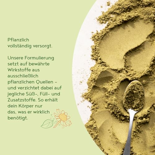 Leber Komplex Elixier 2.0 | 300g Vegan Pulver | Leberkur mit Weizengras, Spirulina, Cholin, Gerstengras, Brennnessel, Mariendistel, Löwenzahn, Chlorella | Alpha Foods