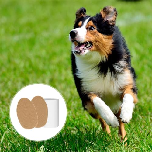 Image of DOITOOL Dog Ear Support Kit with Adhesive Ear Tape and Posting Tool for Puppy and Dog Correction Comfortable Fit for All Breeds Effective Support and Shaping