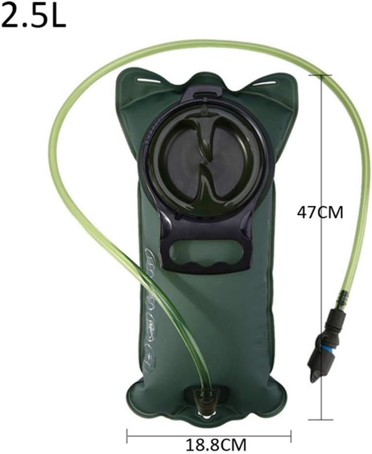 a dorso di cammello per la corsa