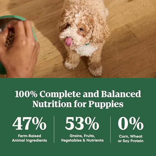 Nutro Natural Choice Puppy Dry Dog Food, Chicken & Brown Rice, 5 lb - image 8