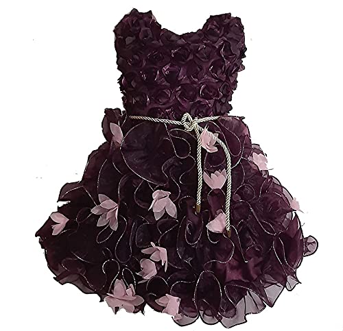 Image of Fit & Flare Net Fabric Frock Dress Frocks for Baby Girls