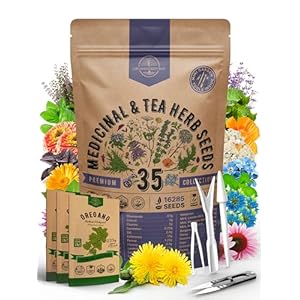 35 Medicinal & Tea Herb Seeds Variety Pack for Indoor & Outdoors. 16,335+ Non-GMO Heirloom Garden Seeds: Anise, Bergamot, Borage, Cilantro, Chamomile, Dandelion, Rosemary Seeds & More