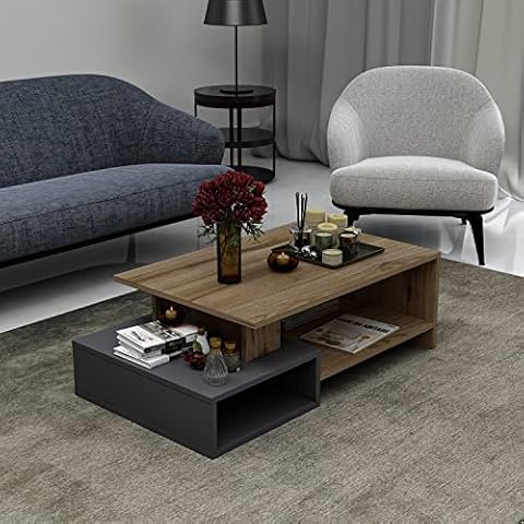 Homidea Dux - Table basse moderne Cover