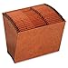 Pendaflex Heavy Duty Expanding File, File Organizer for School, Home and Office, Durable 21-Pocket File, Open Top, 21 Pockets, A-Z, 1/3 Cut Tabs, Letter Size, Brown (R217AHD)