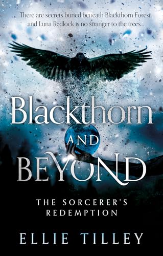 THE BOOK GUILD Blackthorn and Beyond The Sorcerers Redemption.