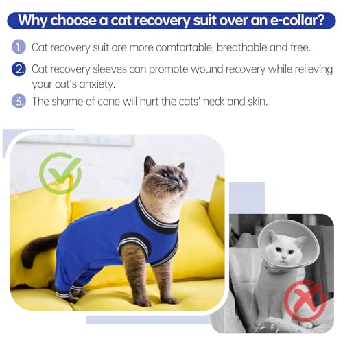 MHaustlie Katzenbody Nach Op Katzen Op Body Kastration Body Katze Nach Operation für Hinterbeine E Halsband Alternative für Katzen Anti Lecken Body Operation Recovery Tuch Anzug für Katzen (Blau, S)