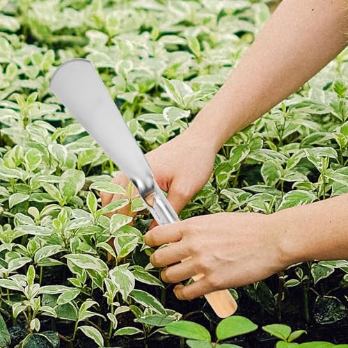 Pala de Jardín Pequeña Beavorty con Mango de Madera miniatura 7