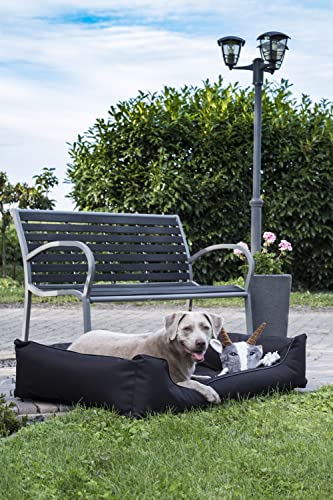 Lebon - Hundebett Paula Plus Schwarz - Orthopädisch - 3 Größe - 80 cm - 100cm - 120cm -Mit Reißverschluss und waschbar - Pflegeleicht - Schmutz - und Wasserabweisend (L)