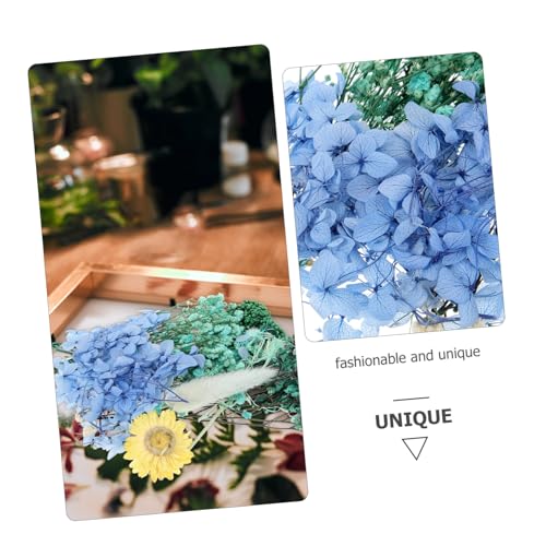 Flores prensadas naturales para manualidades 1 pack miniatura 4