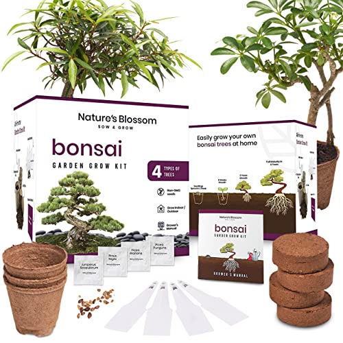 Bonsai Tree Growing Kit