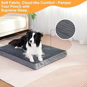   Waterproof-Dog-Beds-for-Large-Medium-sized-Dogs-Washable-Orthopedic-Dog-Bed-with-Removable-Cover-Egg-Crate-Foam-Pet-BedDog-MattressKennel-Pad-36-x-27-inches-for-Dogs-Up-to-65-lbs