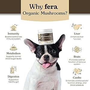   Fera-Pets-Mushroom-Supplement-for-Dogs-Cats-Vet-Created-for-Cognition-Immune-System--Organic-Lions-Mane-Shiitake-Mushrooms-120-Scoops