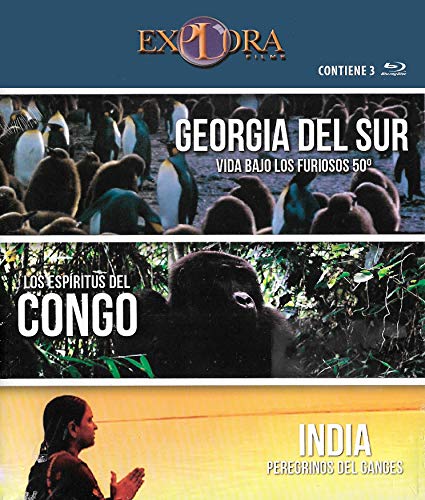 Pack Explora (Georgia Del Sur, Congo, India)