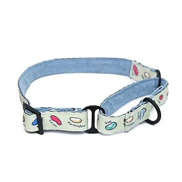 Harry Potter - Every Flavour Beans Dog Martingale Collar - by Mutt of Course (Color - Offwhite) (Medium Size)