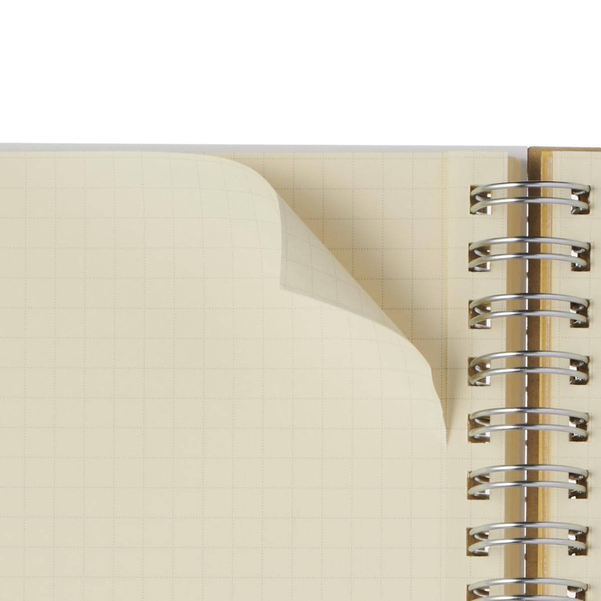 Amazon.co.jp: 【デルフォニックス手帳 2025年版／2024年10月始まり