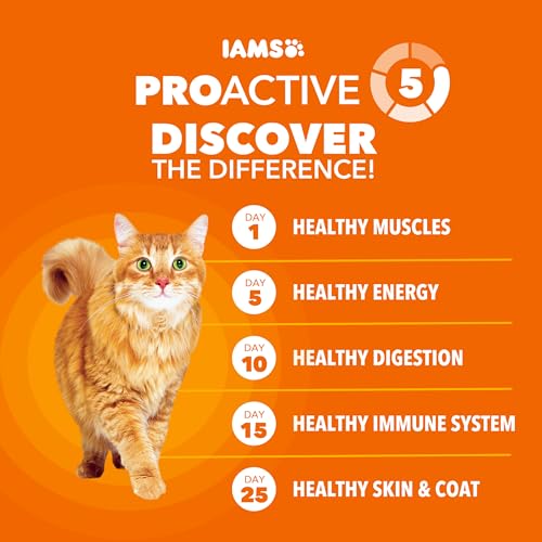 IAMS Proactive Health Dry Cat Food, Healthy Cat Food Dry Recipe for Adults, with Chicken 22 lb. Bag