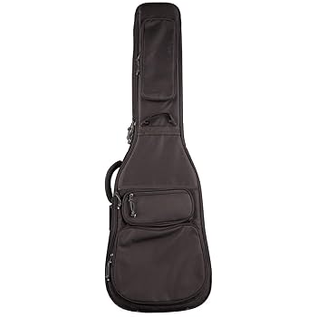 Amazon | SELVA SULB/BK セルバ エレキベース用ギグケース