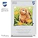 Vervaco Little Hare Pillow Cover Needlepoint Kit