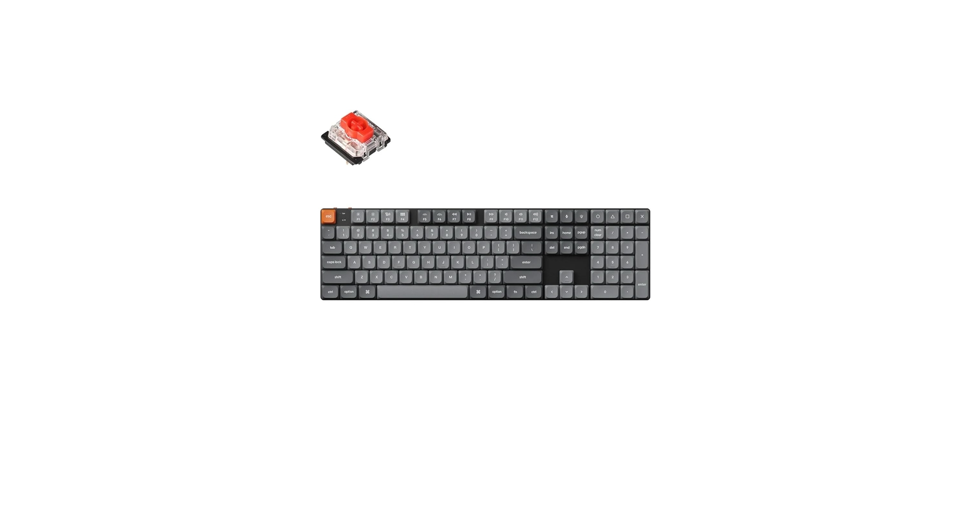 51XQmbbm8UL.jpg_BO30,255,255,