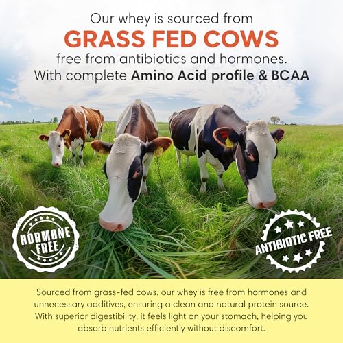Image of Foodstrong Whey Protein Powder (Concentrate + Isolate), 100% Hormone Free Grass-Fed Whey, 24G Protein & 6.6G BCAA, Malai Kulfi, With Turmeric & Digestive Enzymes, 1KG