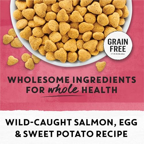 Beyond 017800180641 Purina Beyond Indoor Grain Free Salmon, Egg & Sweet Potato Recipe Adult Dry Cat Food thumb #1