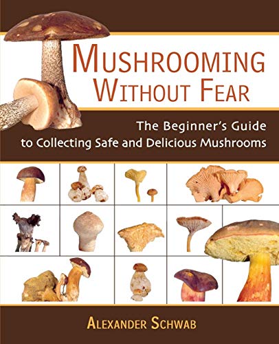 Mushrooming without Fear: The Beginner's Guide to Collecting Safe and