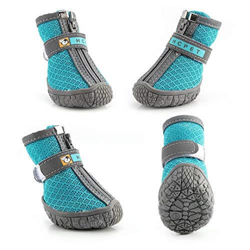 Best Dog Booties For Salt 10Reviewz